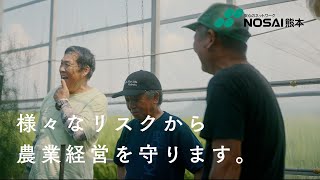 熊本の農家の皆さんへ　入ってますか？収入保険