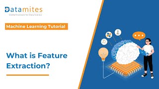 How Feature Extraction Works in Machine Learning | Explained with Examples