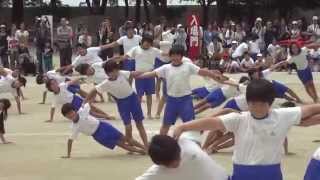 小学校運動会　6年生　組立体操2012　（音声変更）