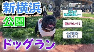 ☆新横浜公園ドッグランに行ってきた☆