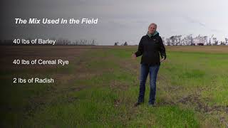 Cereal Rye and Barley to Manage Salinity