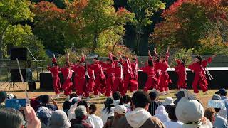 -紀道-～第17回紀州よさこい祭り～おどるんや