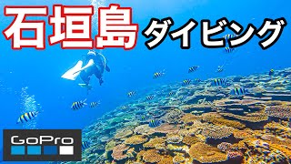 【GOPRO HERO10】沖縄 石垣島でダイビング！綺麗すぎるサンゴ礁！