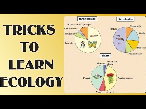 Tricks Of ECOLOGY - BIODIVERSITY|pie Chart|global Biodiversity|class 12 ...