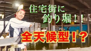 「都会の全天候型」釣り堀に潜入！！ 底釣り専門池って？  前編