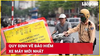 Quy định về bảo hiểm xe máy mới nhất | Báo Lao Động