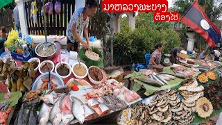 ອາຫານຫລາຍແທ້ທີ່ຕະຫລາດເຊົ້າຫລວງພະບາງ/อาหารเยอะมากที่ตลาดเช้าหลวงพระบาง/Lots of food at morning Market