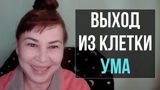 Выход из клетки Ума. Как работает Ум? Распознание. Оксана Рахманова