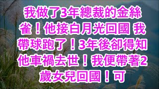 我做了3年總裁的金絲雀！他接白月光回國 我帶球跑了！3年後卻得知他車禍去世！我便帶著2歲女兒回國！可