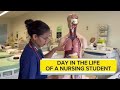 Day in the life of a nursing student