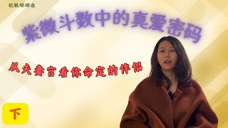 夫妻宫怎么看？紫微斗数帮你找真爱！从夫妻宫揭示你的理想伴侣