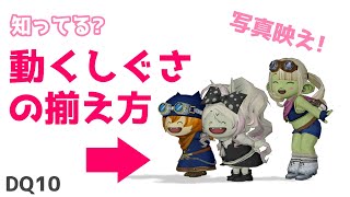 【ドラクエ10】動くしぐさを合わせるコツ🌟かわいく写真撮影やコミュニケーションが取れちゃう！【DQX】