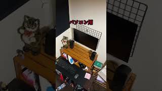 高校生になって部屋が充実してきた#高校生 #部屋紹介 #ゲーム部屋