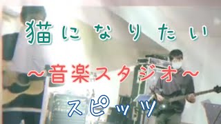 スピッツ／猫になりたい／歌詞入り