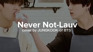 【和訳】Never Not-Lauv cover by JUNGKOOK of BTS