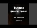 Sensory Vision (Original Mix)