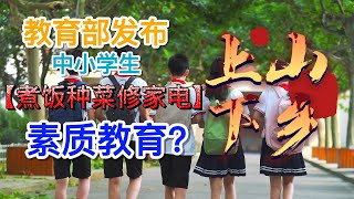 教育部“中小学生学煮饭种菜修家电，劳动课回归”丨乐天派眼中的素质教育，阴谋论口中的“上山下乡”