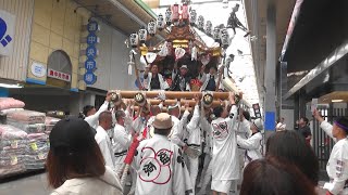 灘のだんじり祭り 畑原の地車 5月3日午後の巡行 2024.05.03