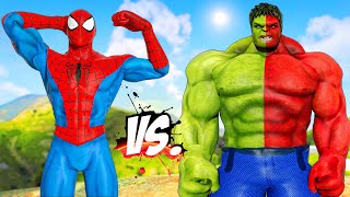 SPIDERMAN MUSCLE VS RED-GREEN HULK | SPIDER-MAN VS THE HULK