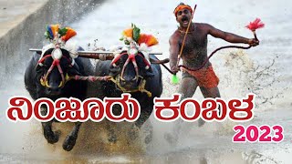 ನಿಂಜೂರು ಕಂಬಳ -2023  Ninjoor Kambala -2023