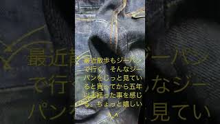 革ジャンを着て散歩したい「ジーパンに愛着湧いた編」