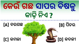 କେଉଁ ଗଛ ସାପର🐍 ବିଷକୁ କାଢି ନିଏ? || odia gk || General Knowledge || SB GK STUDY