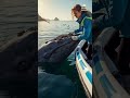 brave girl cleans barnacles from huge whale in peaceful waters savetheocean whalecare marinelife