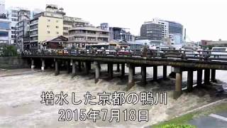 増水した京都の鴨川（2015年7月）