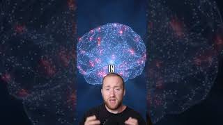 You Can Inherit Fear (And Scientists Proved It)