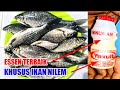 umpan ikan nilem paling jitu || racikan versi @rendymancing