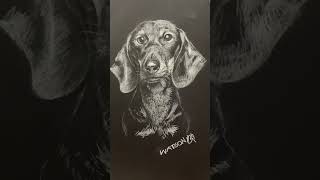 黑板粉筆畫小黑black dog on blackboard #art #chalk #drawinglessons #chalkart #drawing