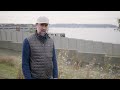 Botany with Bobby: Douglas Aster at the Olympic Sculpture Park
