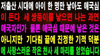 사랑의 기적 사연 - 저출산 시대에는 아이 하나만 낳아도 애국심이 강했고