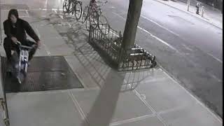 7th Precinct Shooting Suspect