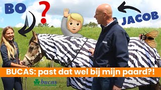 ALLES OVER DE BUCAS DEKENS 🐴 | EPPLEJECK