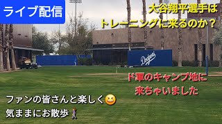 【ライブ配信】ドジャースのキャンプ地、アリゾナに来ちゃいました⚾️ファンの皆さんと楽しく😆気ままにお散歩⚾️Shinsuke Handyman がライブ配信中！