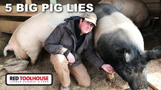 5 Misconceptions About Pigs