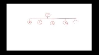 LGLA 1307 Chapter 12: Trial (Only Lecture)