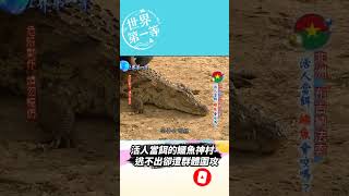 【非洲】布吉納法索活人當餌的鱷魚神村 逃不出卻遭群體圍攻【你不知道的世界大發現】#世界該去哪 @GTV 世界第一等 World's No.1  #Shorts