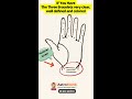 know yourself palmistry line meaning palmistry palmreader fortuneteller onlineastrology shorts