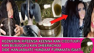 ROZMERIIN RIFEENSA KEENNA KAN CICCITUUFI KAN BUBUQQA'U KAN DHEERACHUU DIDE :KANJABAATE HUNDAAF.....