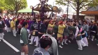 平成27年 第38回 川崎市民祭り 神輿ﾊﾟﾚｰﾄﾞ 迫力満点。