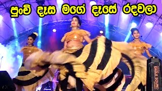 Punchi Dasa Mage Dase Radawala | පුන්චි දෑස මගේ දෑසේ රදවලා |Best Sinhala Songs | SAMPATH LIVE VIDEOS