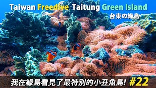 Freediving | 聖誕紅大家都知道~但聖誕小丑魚島你看過嗎? 大白沙 | 時光隧道 | 龜灣 | 聖誕小丑島 | 傑哥帶你玩 JerryGoPlay |  自由潛水地圖 綠島潛點 4k