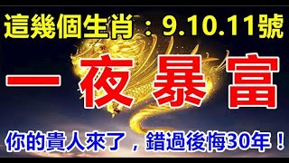 這幾個生肖：12月9.10.11號3天內一夜暴富 - 十二生肖