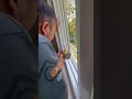 cuánto se cobra para instalar una ventana carpinteria remodelar tips