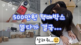 보건실에서 하루 종일 택배 정리하면 생기는 일 | 신규보건교사 VLOG