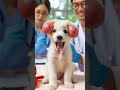 a stubborn cute puppy 2024 funny puppy cute ai