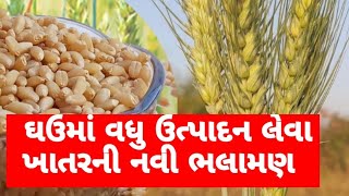 ઘઉંના પાકમાં ખાતરની નવી ભલામણ | Wheat | Fertilizer | DAP | Urea | MOP | Nutrients Management