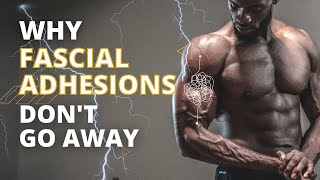 Why Fascial Adhesions Don’t Go Away?  | Hyperarch Fascia Training